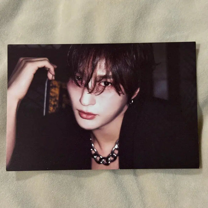 [BUNJANG] DKB Lee Chan Fancon Postcard / 다크비 이찬 팬콘 엠디 엽서