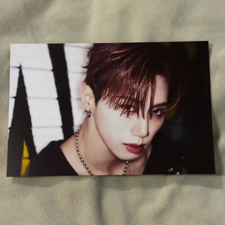 [BUNJANG] Dark-B Harry June Fan-Con Postcard / 다크비 해리준 팬콘 엠디 엽서