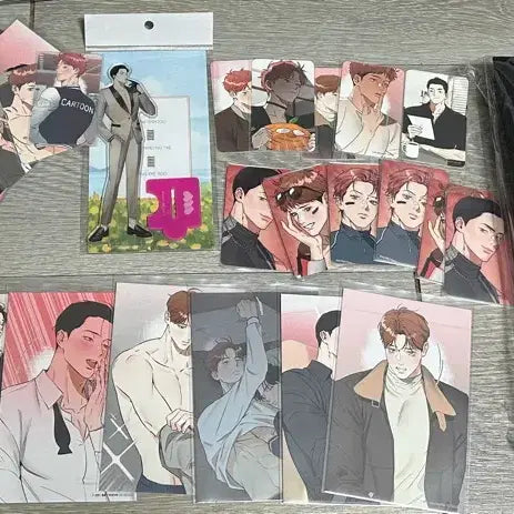 [BUNJANG] Bomtoon MD Bundle Photocard Set (Unsealed) with Unused Bonus / 명태새끼말려버려모펀MD일괄 원가양도 바인더는 미개봉 기타미사용특전포함