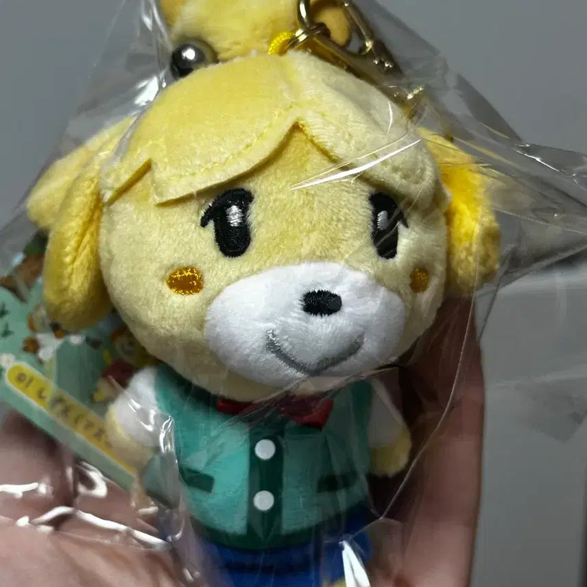 [BUNJANG] Animal Crossing Kapp&