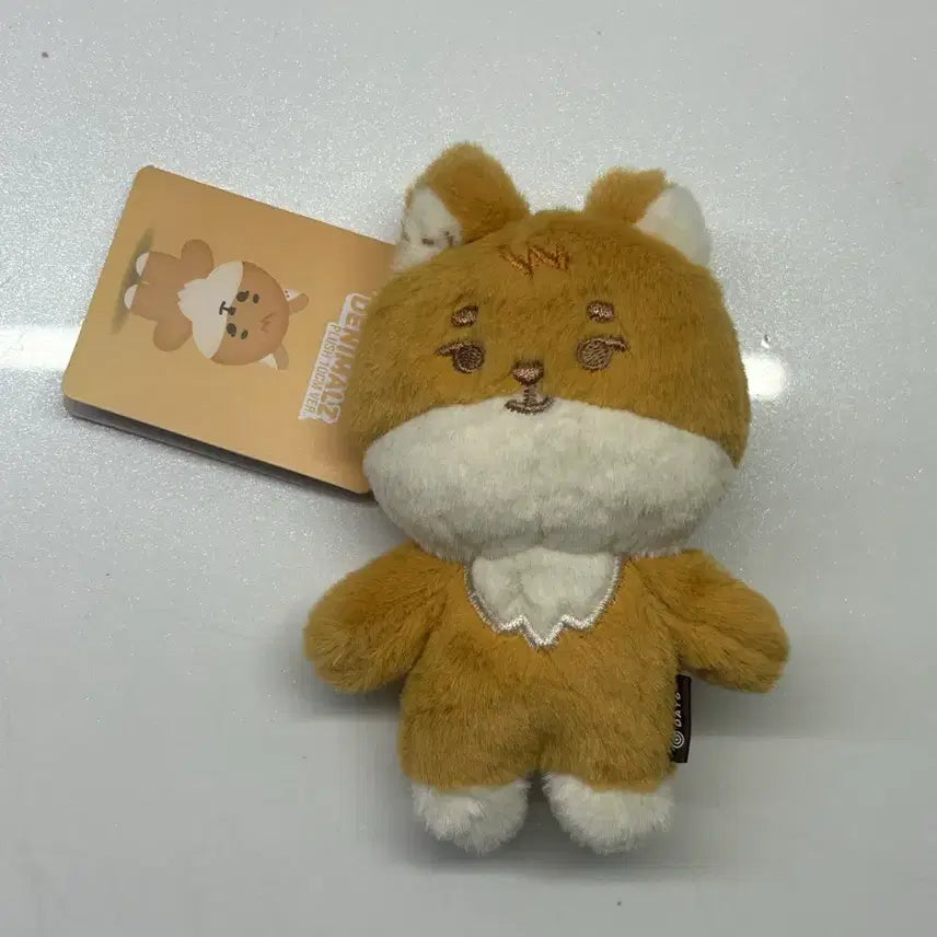 [BUNJANG] Day6 Young K 10cm Doll / 데이식스 영케이 10cm인형 팔아요!!
