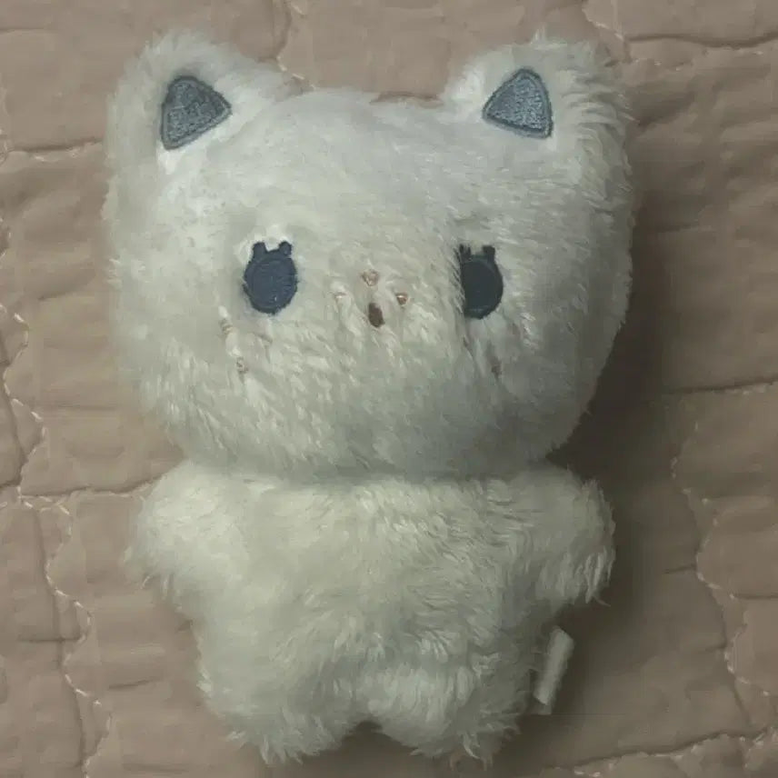 [BUNJANG] Bboknyangi Character Plushie / 뽁냥이 입없뽁
