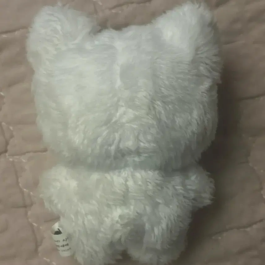 [BUNJANG] Bboknyangi Character Plushie / 뽁냥이 입없뽁