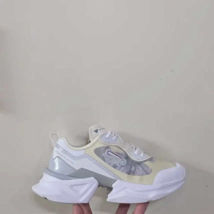 [BUNJANG] Dynafit Dual Run Flash Ultralight Running Shoes / [240] 다이나핏 듀얼런 플래쉬ㅡ단종매물,최저가