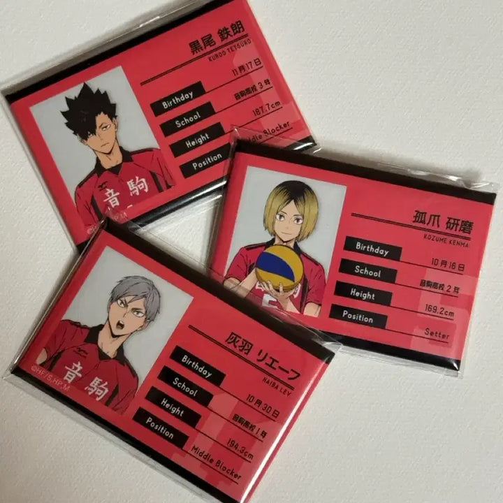 [BUNJANG] Haikyu Nekoma Kenma Kuroo Lev Student ID Badge Bundle Set / 하이큐 네코마 켄마 쿠로 리에프 학생증 명찰 (일괄)