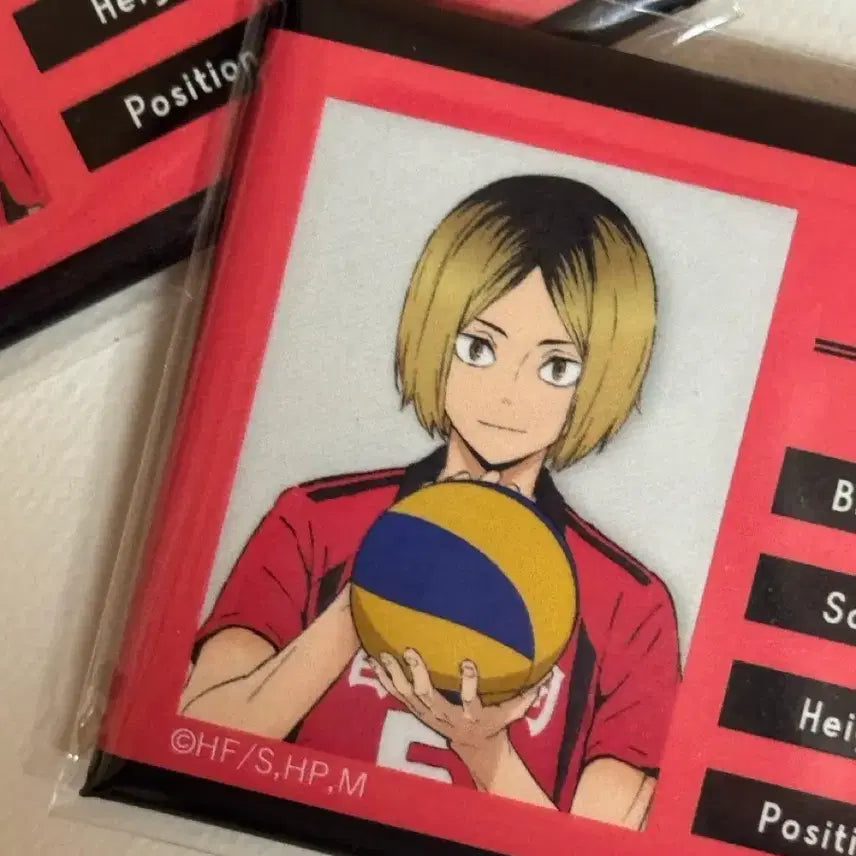 [BUNJANG] Haikyu Nekoma Kenma Kuroo Lev Student ID Badge Bundle Set / 하이큐 네코마 켄마 쿠로 리에프 학생증 명찰 (일괄)