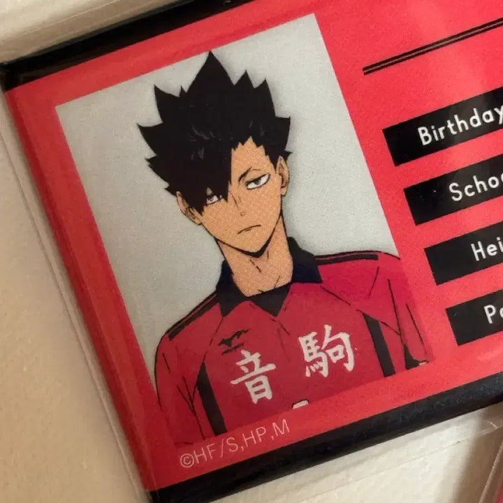 [BUNJANG] Haikyu Nekoma Kenma Kuroo Lev Student ID Badge Bundle Set / 하이큐 네코마 켄마 쿠로 리에프 학생증 명찰 (일괄)