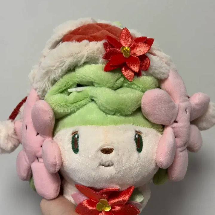 [BUNJANG] Pokemon 2024 Christmas Shaymin Plush / 포켓몬 2024 크리스마스 heartwarming 쉐이미 인형