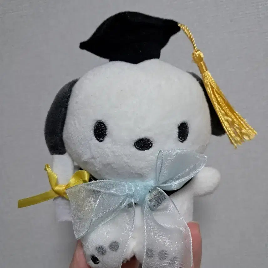 [BUNJANG] Sanrio Pochacco Graduation Doll Keyring / 산리오 포챠코 졸업 학사모 인형 키링