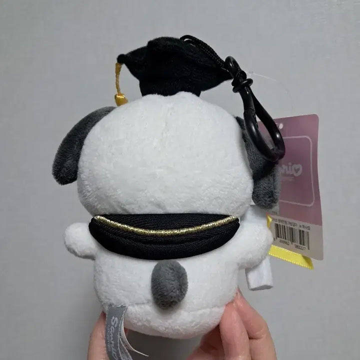 [BUNJANG] Sanrio Pochacco Graduation Doll Keyring / 산리오 포챠코 졸업 학사모 인형 키링