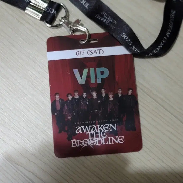 [SOLD OUT] &amp;TEAM 앤팀 서울콘서트 VIP 목걸이
