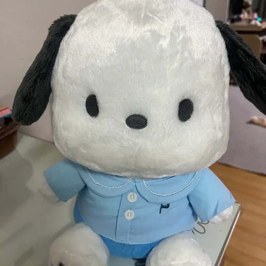 [BUNJANG] Sanrio Pochacco Medium Plush Doll / 산리오 포차코 중형인형