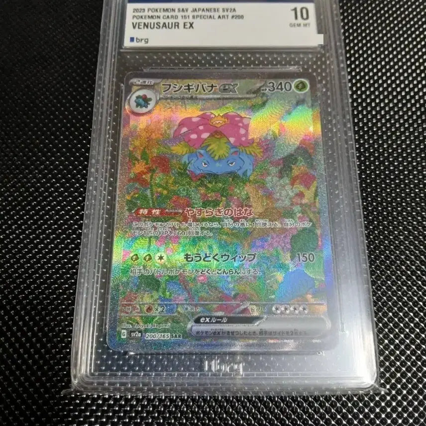 [BUNJANG] BRG 10 Japanese Venusaur SAR / Japanese Venusaur EX SAR Graded Card / (brg 10) 일판 이상해꽃sar / 일판 이상해꽃ex sar