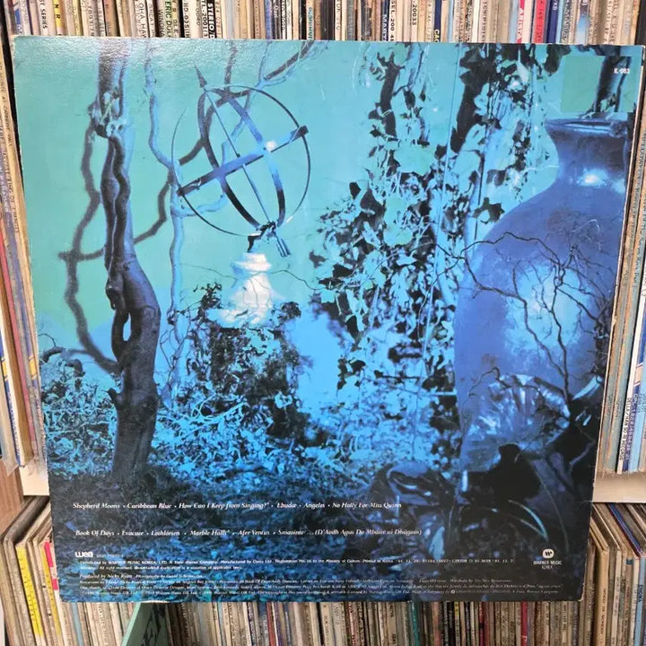 [BUNJANG] Enya LP Record / 엔야 LP판