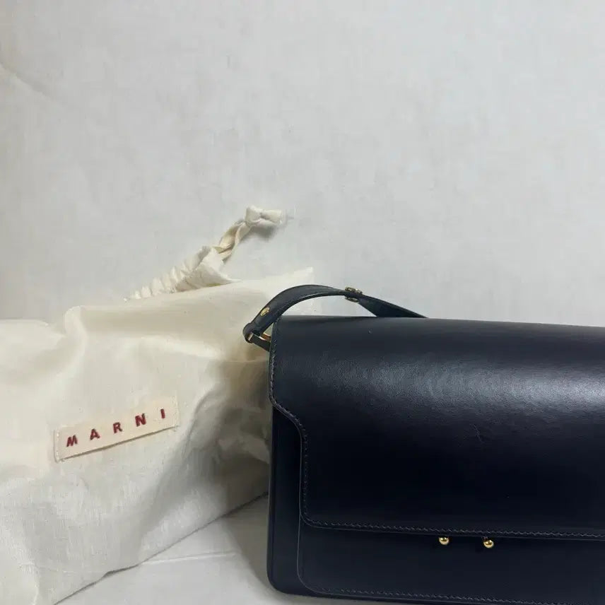 [BUNJANG] Marni Trunk Bag Medium Calfskin / 마르니 트렁크백 카프스킨 미듐