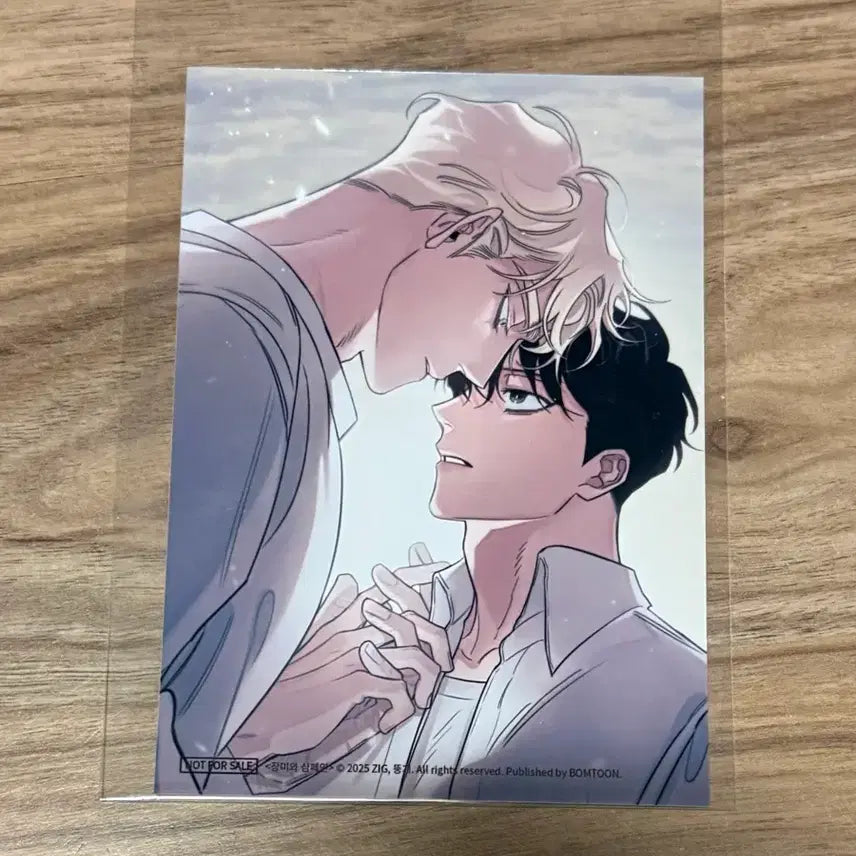 [BUNJANG] Jangmiwa Champagne Header / 장미와샴페인 장샴 헤더