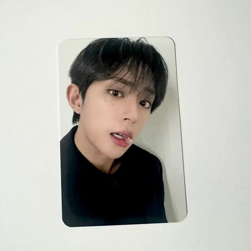 [BUNJANG] DKB D1 Demotion D1 Emotion Photocard / 다크비 dkb d1 디원 demotion 이모션 미공포 포카 포토카드