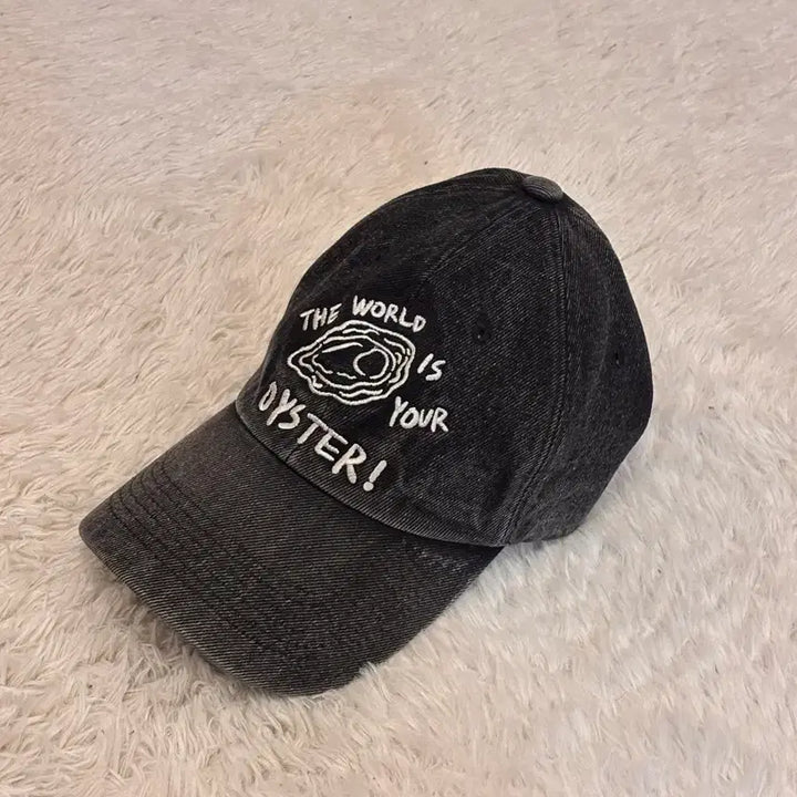 [BUNJANG] POV Denim Baseball Cap / Pov 볼캡
