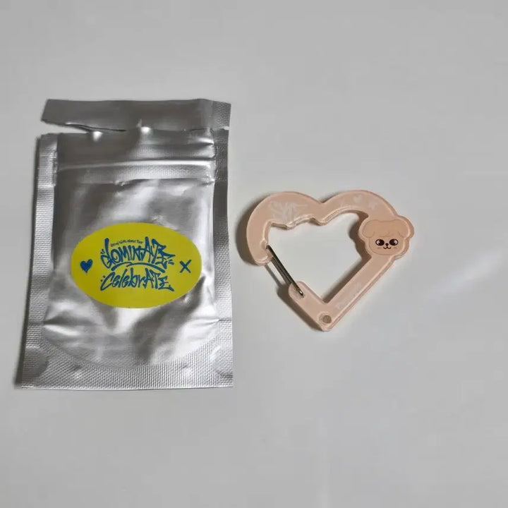 [SOLD OUT] 스키주 퍼핌 카라비너
