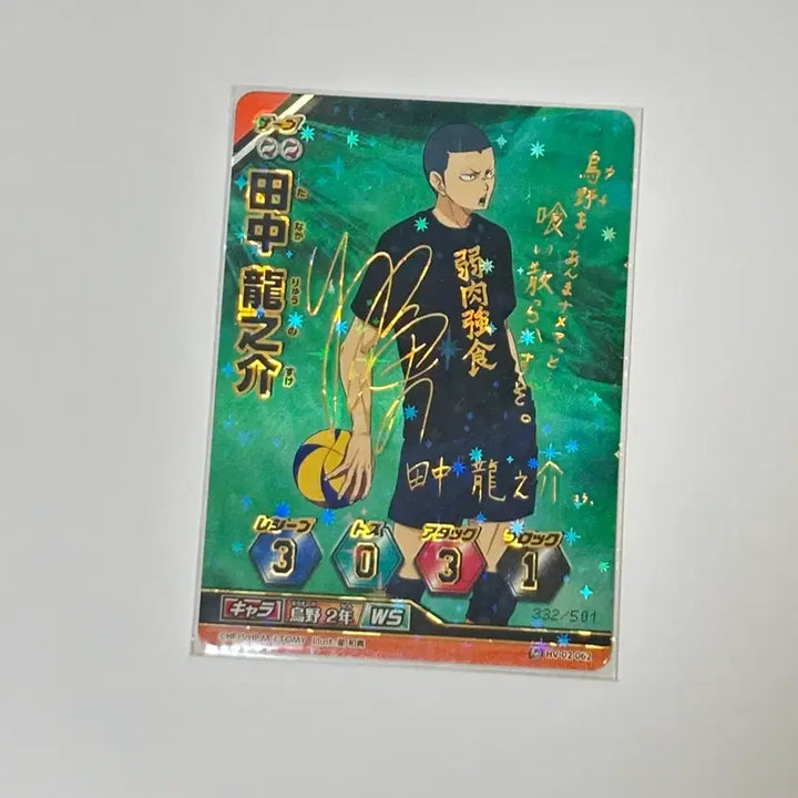 [BUNJANG] Haikyuu!! Tanaka Ryunosuke Special Grade &