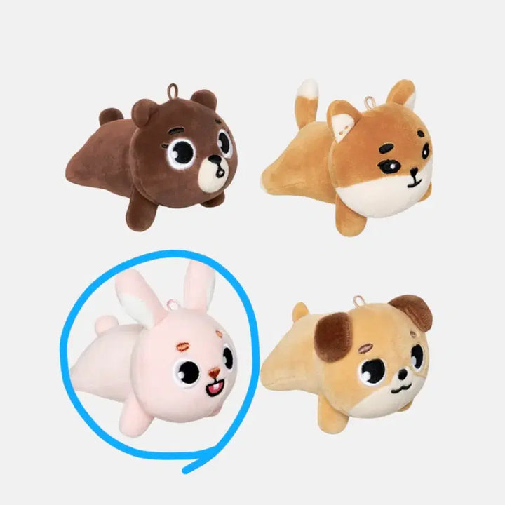 [BUNJANG] Day6 Denimalz Phil Plush Doll / 데이식스 데니멀즈 플러시 라잉 필