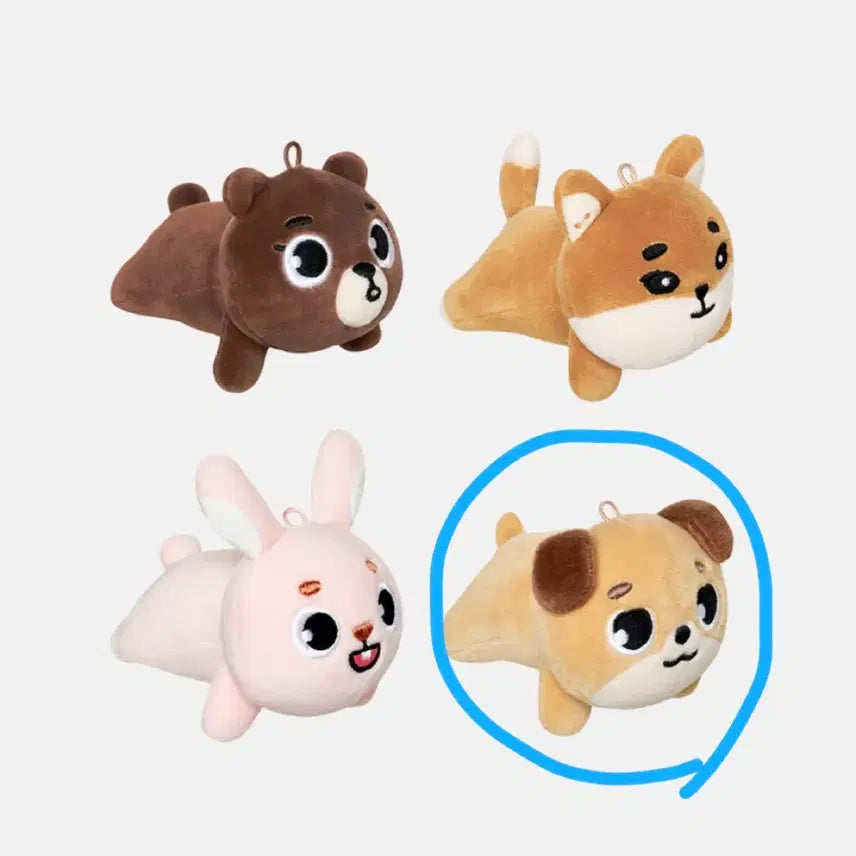 [BUNJANG] Day6 Denimalz Don Plush Toy / 데이식스 데니멀즈 플러시 라잉 돈