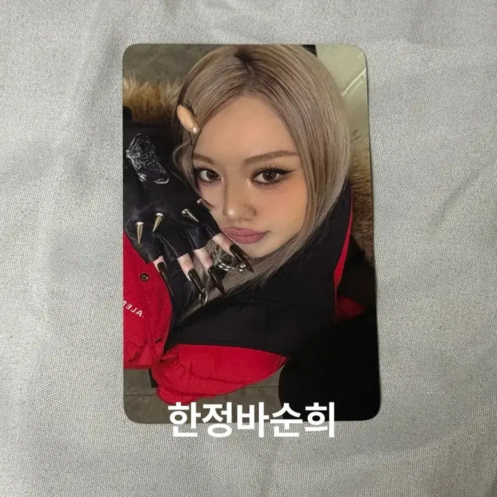 [BUNJANG] All Day Project Bailey POB Photocard / 올데이프로젝트 베일리 에버라인 미공포