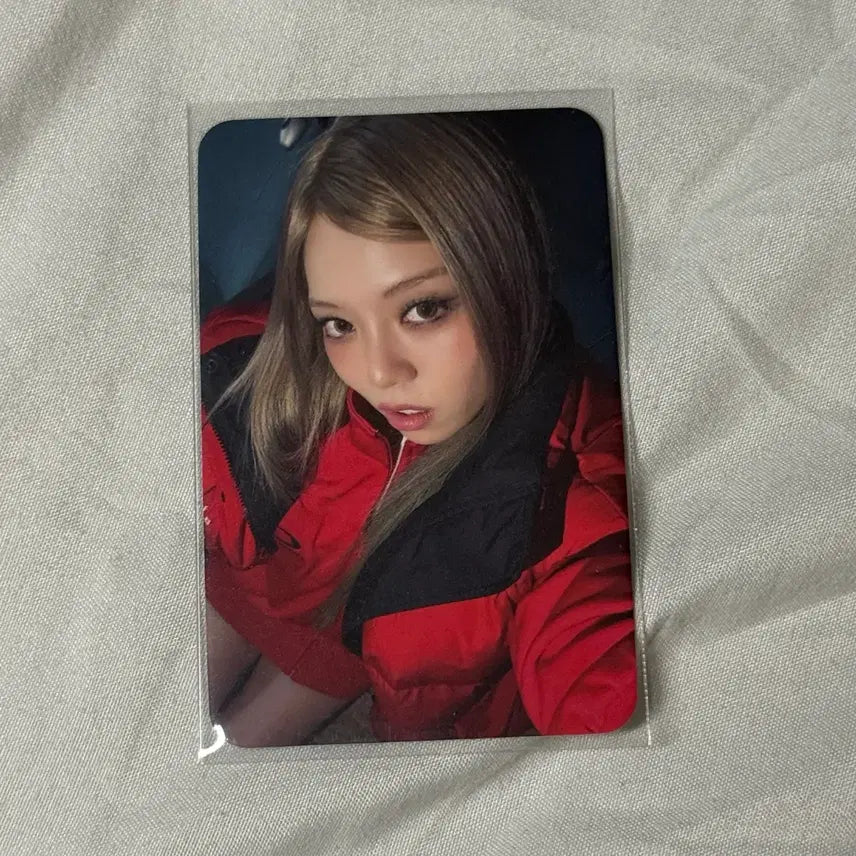 [BUNJANG] All Day Project Bailey POB Photocard / 올데이프로젝트 베일리 뮤직플랜트 미공포