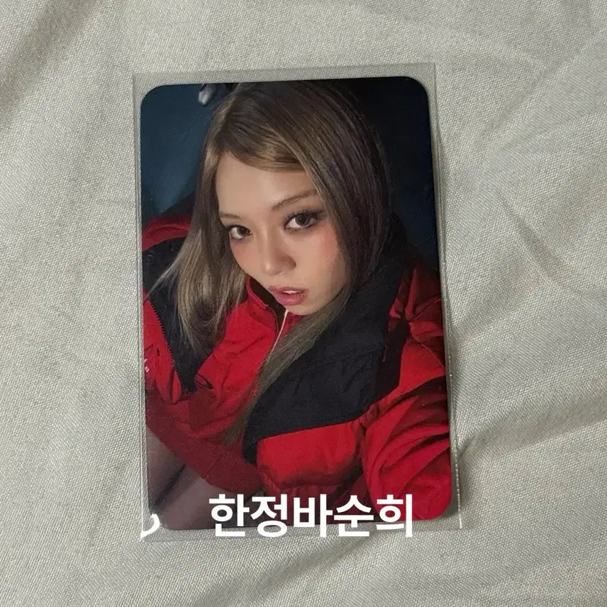 [BUNJANG] All Day Project Bailey POB Photocard / 올데이프로젝트 베일리 뮤직플랜트 미공포
