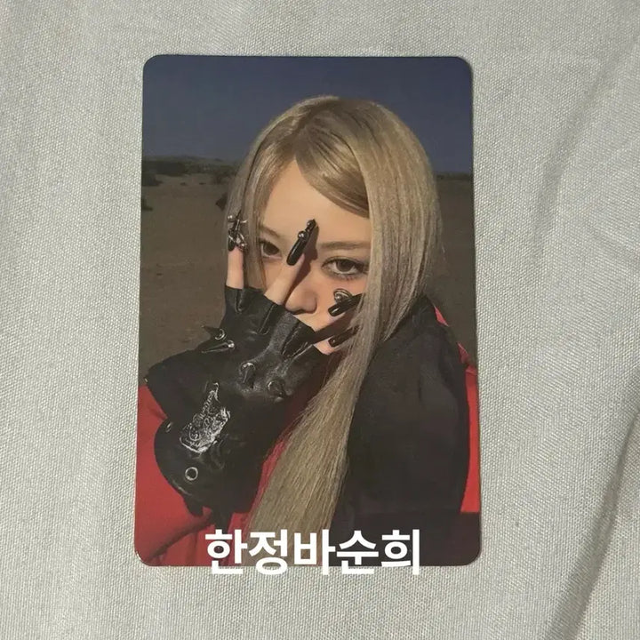 [BUNJANG] All Day Project Bailey Photocard / 올데이프로젝트 베일리 포카