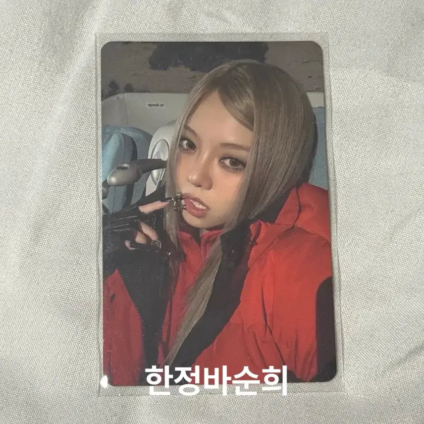 [BUNJANG] All Day Project Bailey Photocard / 올데이프로젝트 베일리 포카