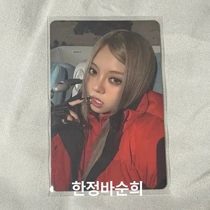 [BUNJANG] All Day Project Bailey Photocard / 올데이프로젝트 베일리 포카
