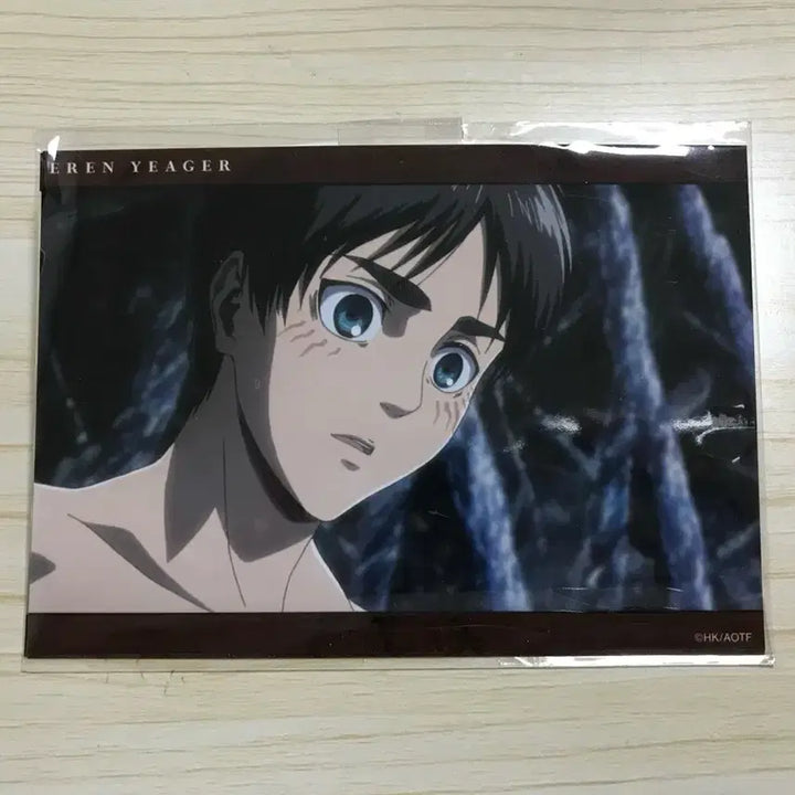 [BUNJANG] Attack on Titan Eren Photo Goods (Sealed) / 미개봉 진격거 에렌 사진 굿즈