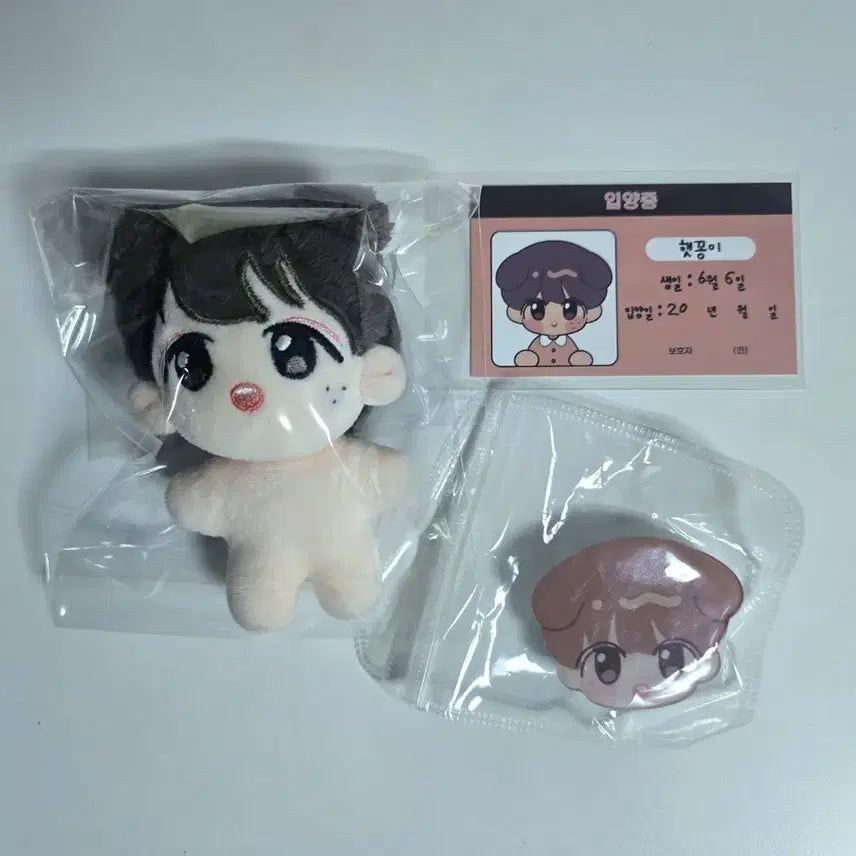 [BUNJANG] NCT Haechan Haekkong 10cm Doll / NCT 해찬 HAECHAN 10cm 인형 햇꽁이 양도