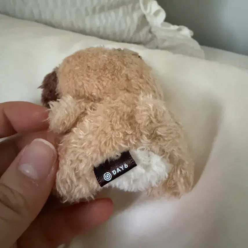 [BUNJANG] NCT Dream Dennimalz Ppomumul Doni Plush / 데니멀즈 쁘띠멀즈 돈이