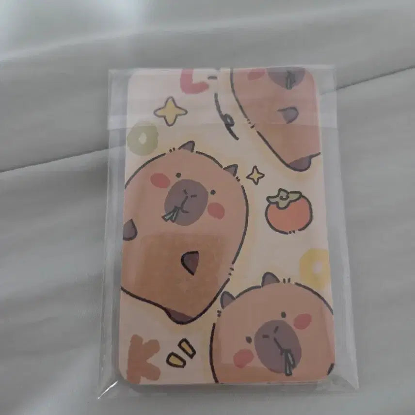 [SOLD OUT] 카피바라 포카세트(10개입)