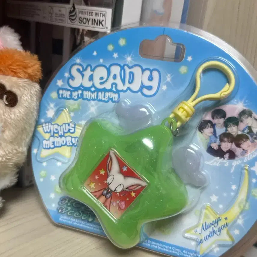 [BUNJANG] NCT WISH Riku Memory Keyring Type B / 엔시티 위시 스테디 위츄 메모리 키링 리쿠 양도 판매 타입 B