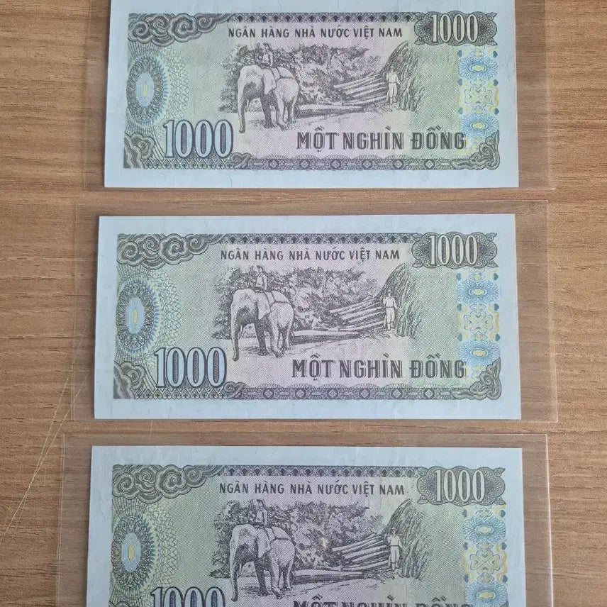 [BUNJANG] Vietnam 1000 Dong Banknote Bundle (1988) / 베트남 1000동...3봉 레이더/리피터/바이너리/로테이터