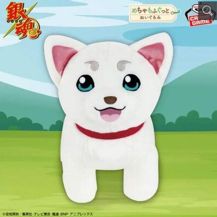 [BUNJANG] Gintama Sadaharu Plush Doll / (미사용) 은혼 슈퍼 빅 플러쉬 사다하루 봉제 인형 누이구루미 긴토키