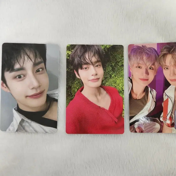 [BUNJANG] ZEROBASEONE Kim Jiwoong Photocard Unit / 제로베이스원 김지웅 포카 유닛