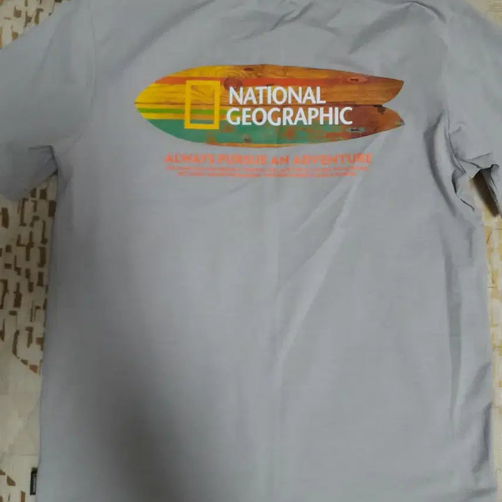 [BUNJANG] National Geographic Gray T-shirt (S) / 내셔널지오그래픽 반팔티셔츠 그레이 S