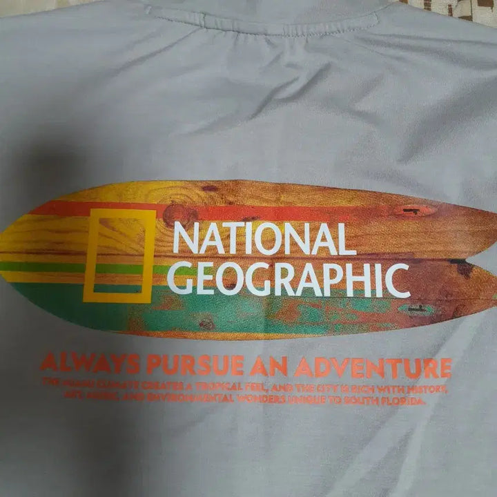 [BUNJANG] National Geographic Gray T-shirt (S) / 내셔널지오그래픽 반팔티셔츠 그레이 S