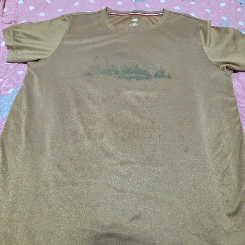 [BUNJANG] The North Face Brown Short Sleeve T-Shirt Size 90 / 노스페이스 브라운 반팔 티셔츠 90