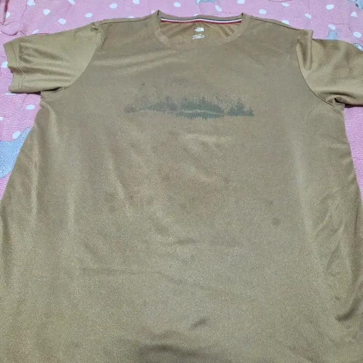 [BUNJANG] The North Face Brown Short Sleeve T-Shirt Size 90 / 노스페이스 브라운 반팔 티셔츠 90