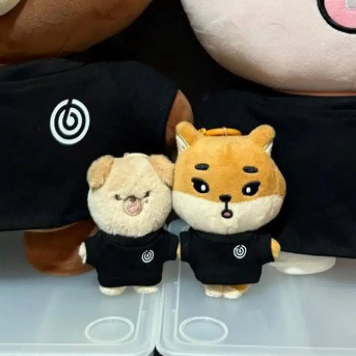[BUNJANG] DENIMALS 24 Don Team Day6 T-Shirt / 데니멀즈 24 돈 팀 데이식스 티셔츠 티 옷 코스튬 데이식스 도운 반팔