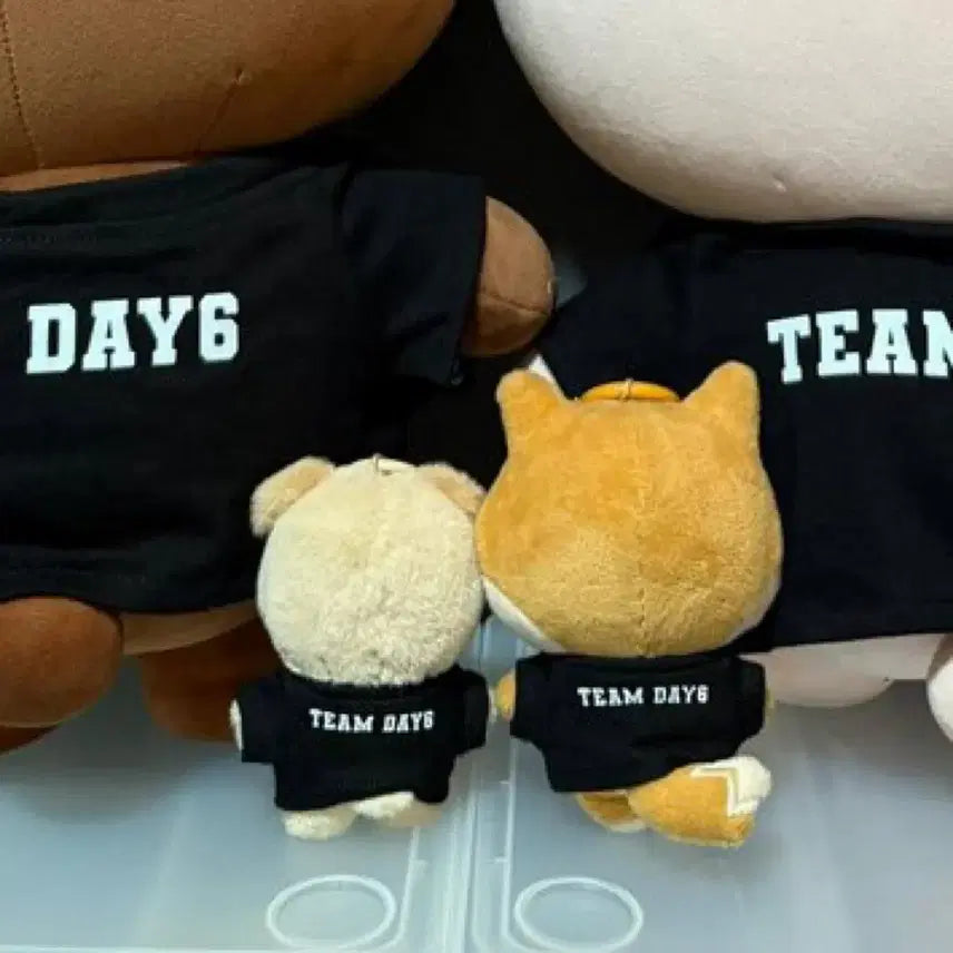 [SOLD OUT] 데니멀즈 24 돈 팀 데이식스 티셔츠 티 옷 코스튬 데이식스 도운 반팔