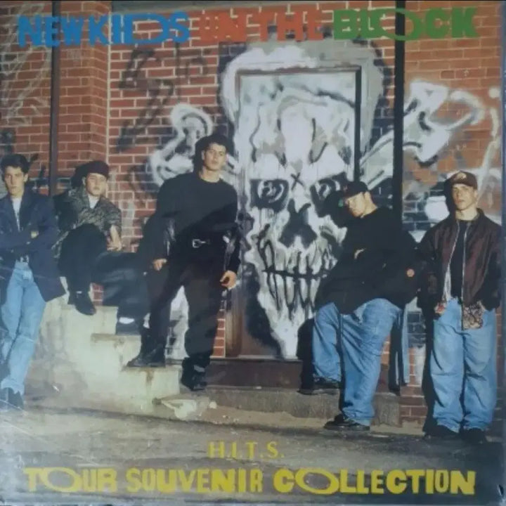 [BUNJANG] New Kids on the Block LP Bundle Set (Sealed Included) / NEW KIDS ON THE BLOCK LP(미개봉포함3종)