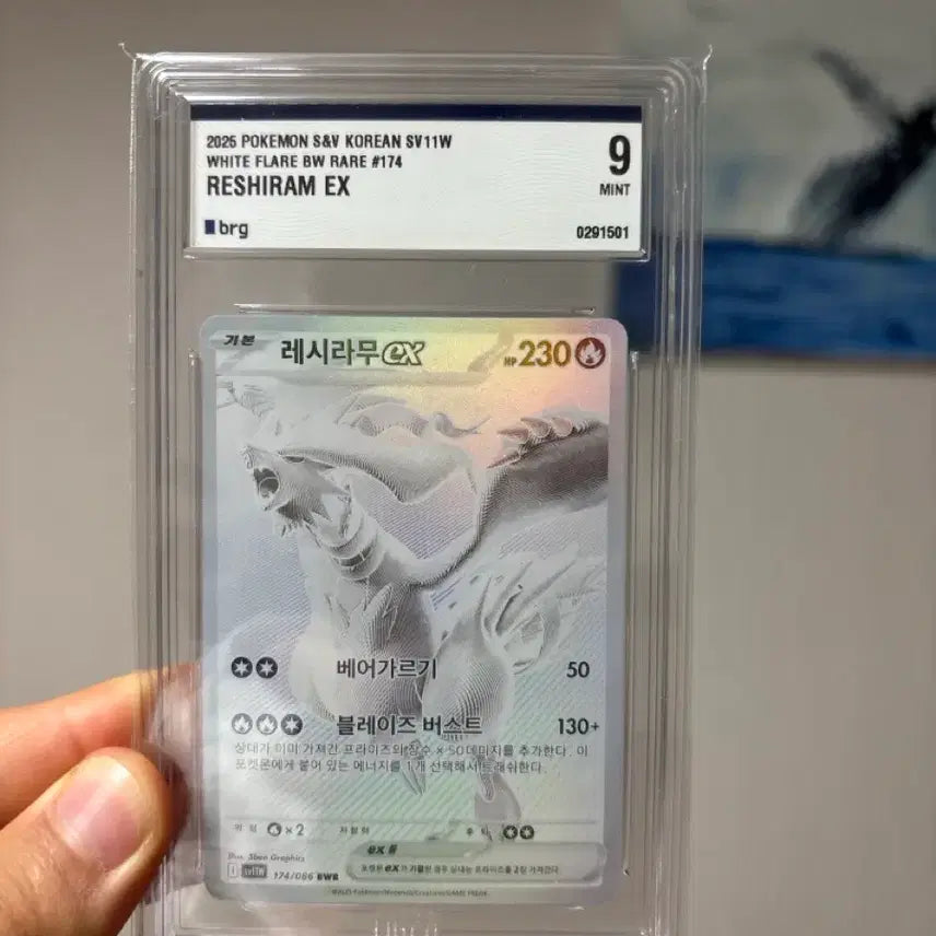 [BUNJANG] Pokemon Card - Trading/Selling / 포켓몬 카드 교환판매