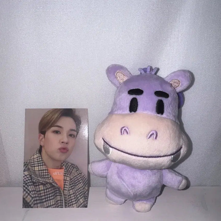 [BUNJANG] Hamangi Plush and Photocard Bundle / 하망이