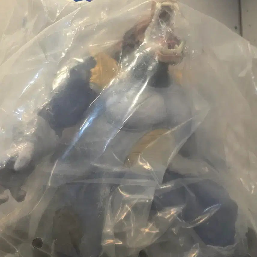 [BUNJANG] Dragon Ball Vegeta Oozaru Last One Prize Figure / 베지터 오자루 라스트원